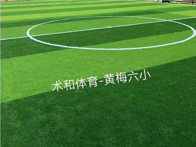 运动草坪
